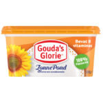 Gouda's Glorie zonne pond