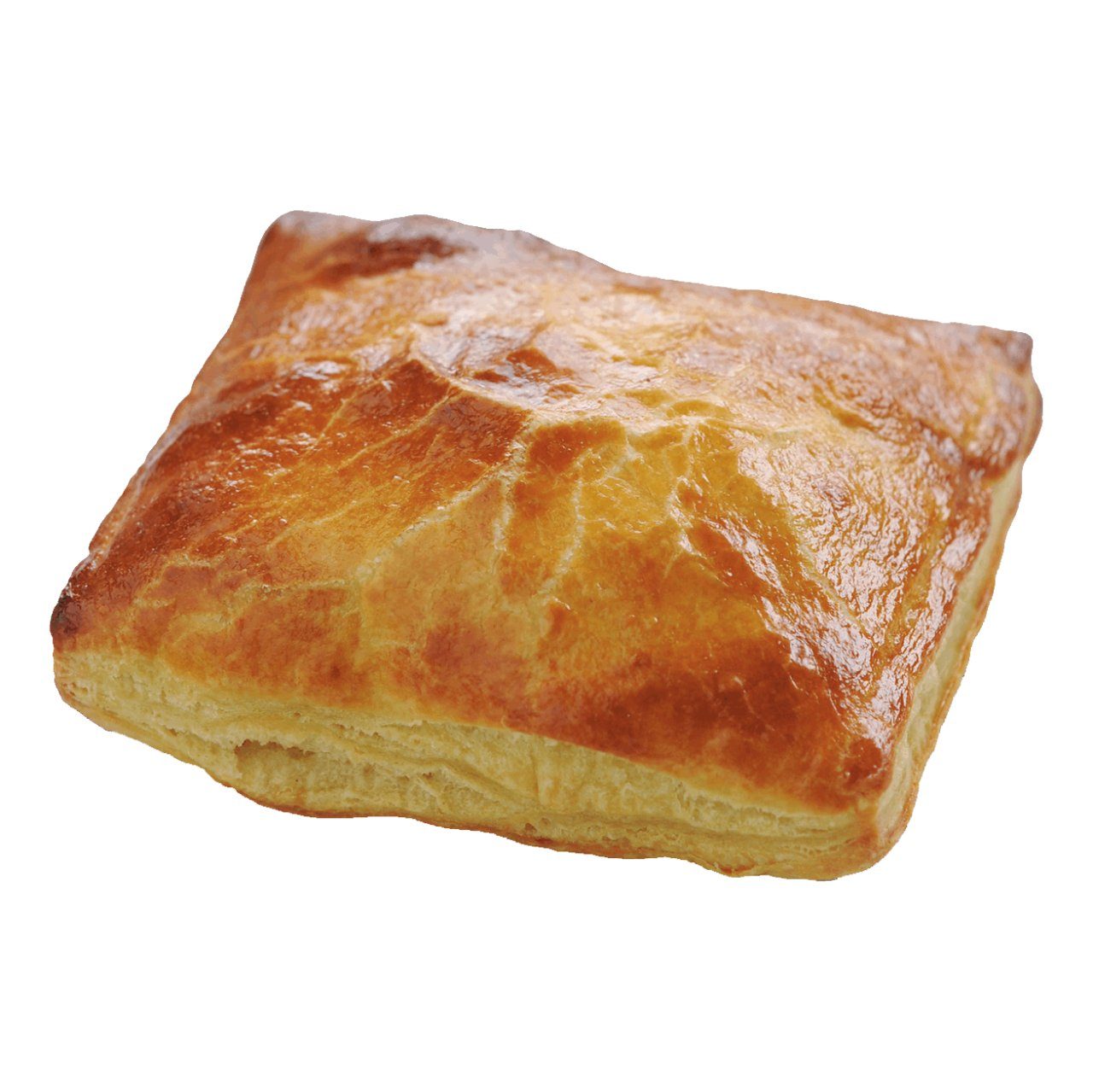 GRO mini oesterzwam ragoutbroodjes