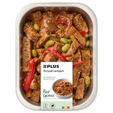 Plus tempeh teriyaki